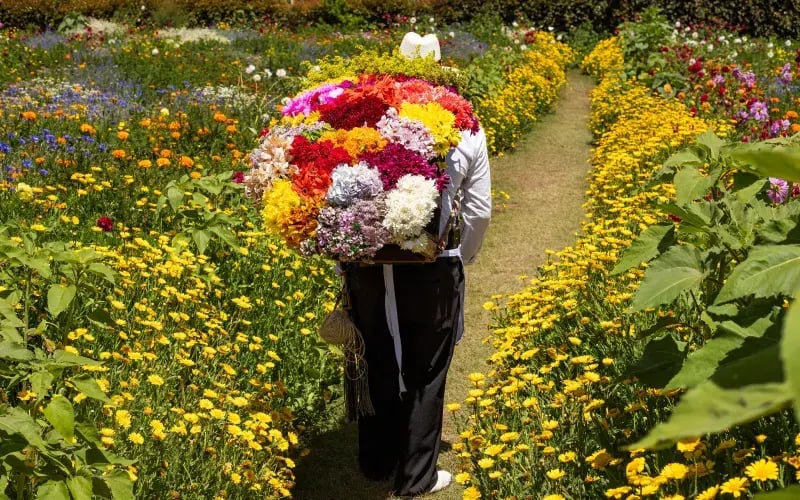 que-es-la-feria-de-las-flores