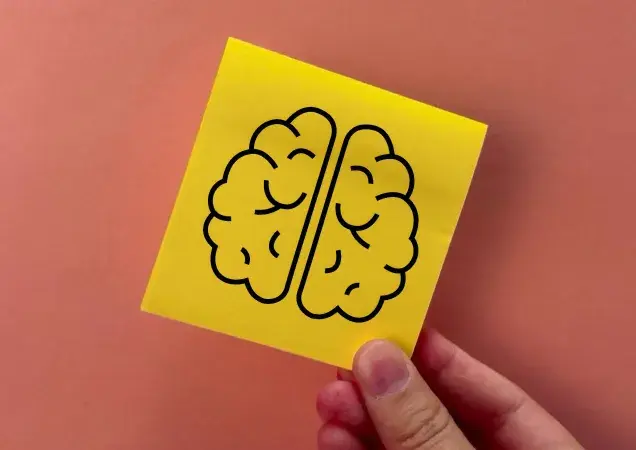 ¿Cómo la neurociencia mejora la gestión del talento en las empresas?